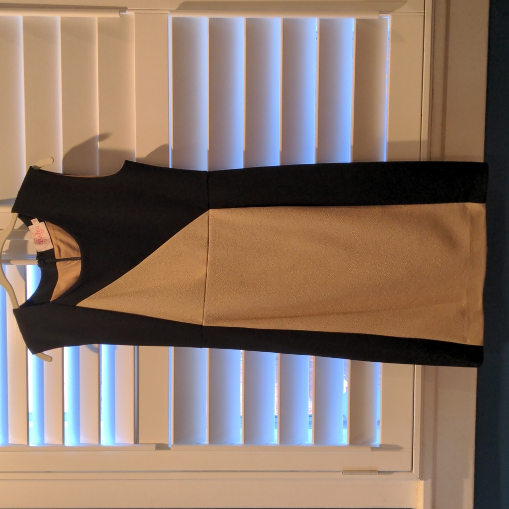 Black and Tan professional dress